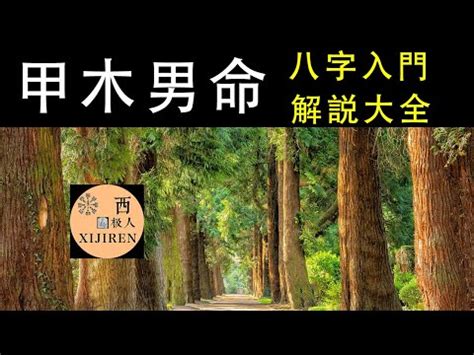 甲木特質|【甲木性格】甲木人的性格、長相、喜好與搞定攻略